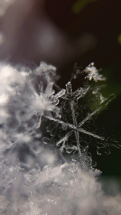 Detalle intrincado de copo de nieve en un paisaje urbano invernal