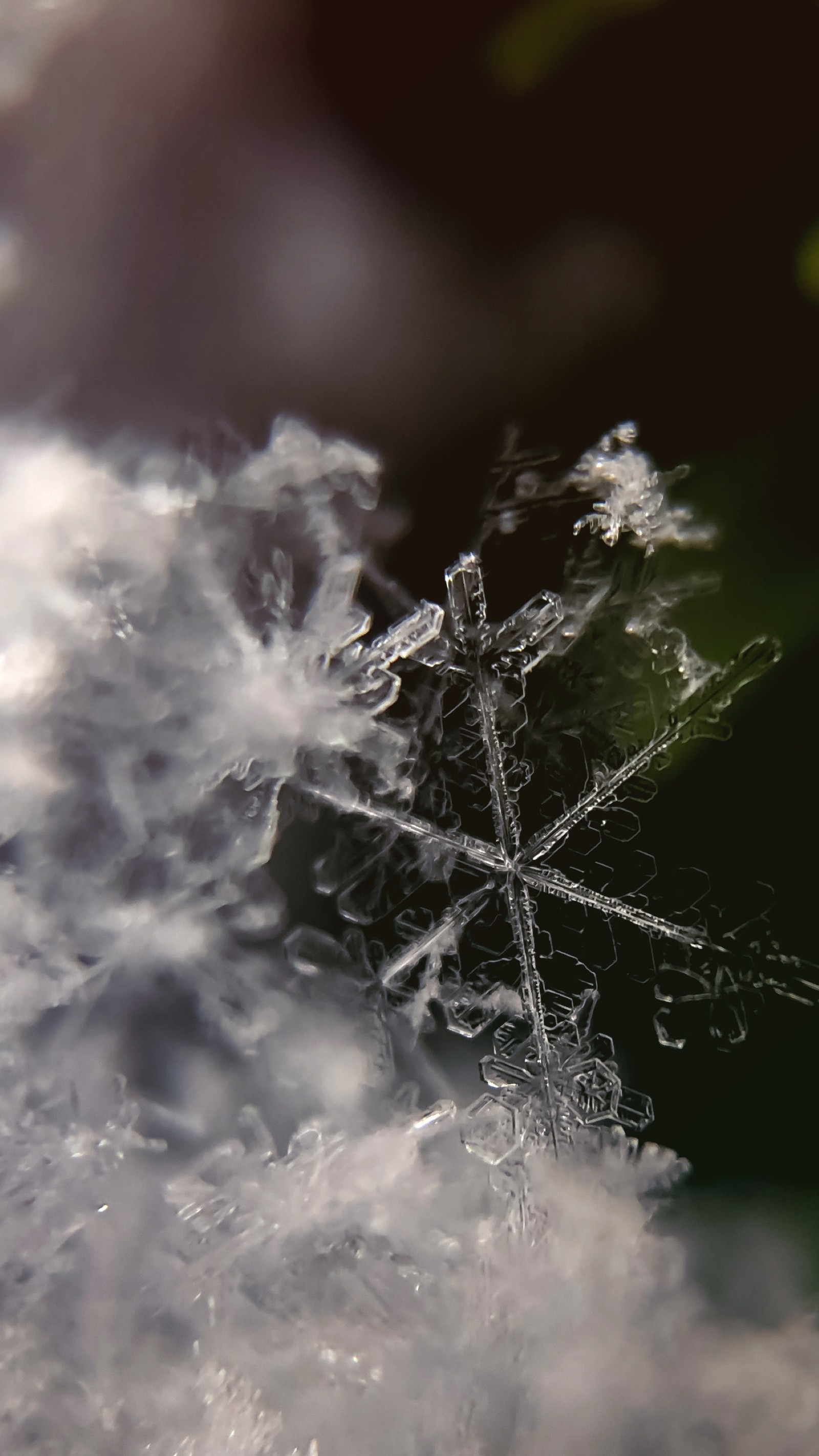 Araffe snowflake on a snow covered surface with a blurry background (city, winter, snow, zsnow18, zwinter18)