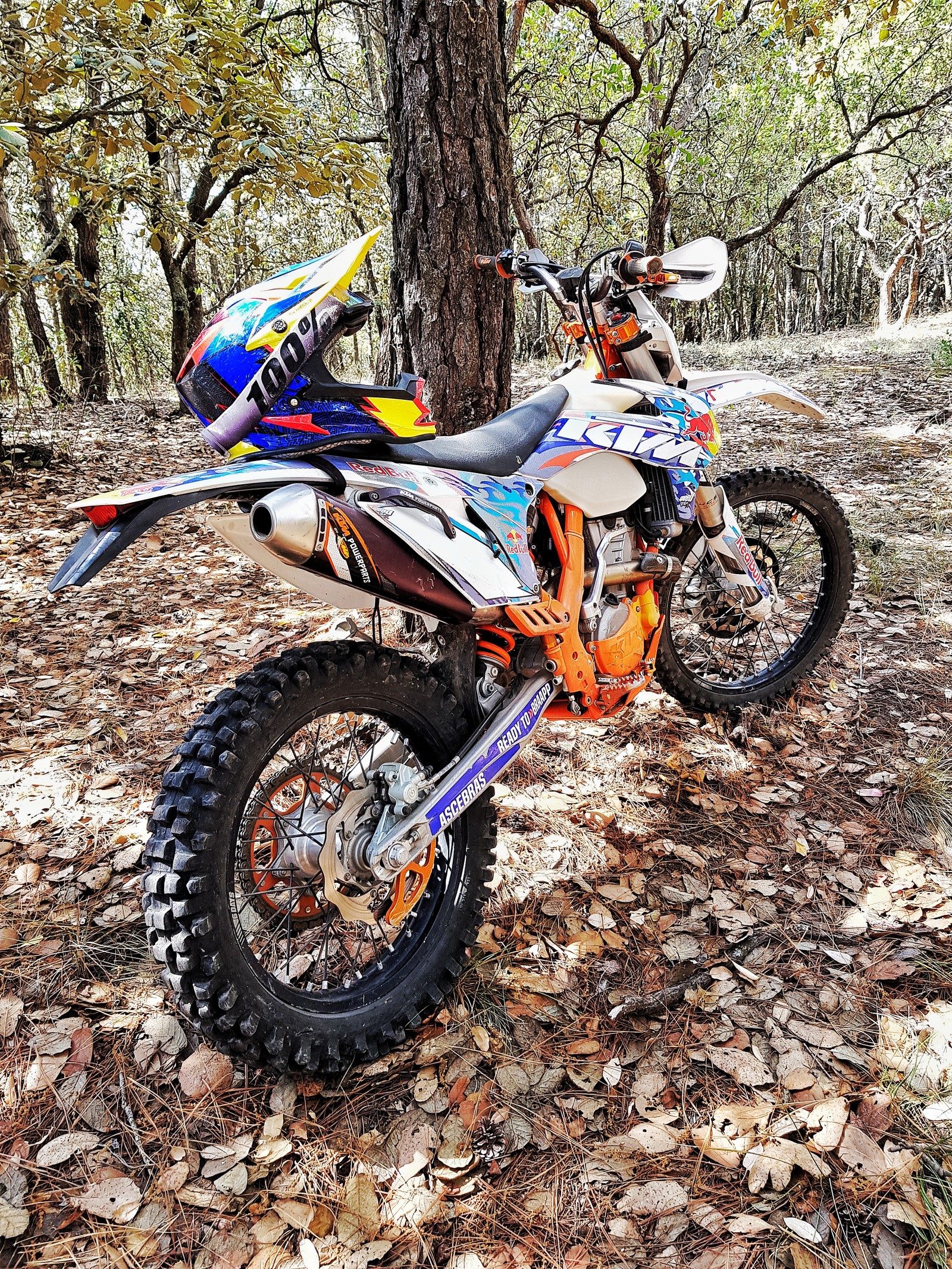 There is a dirt bike parked in the woods with leaves on the ground (motorcycle, bike, enduro, cross, ktm)