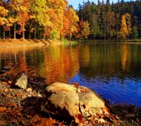 Vibrant Autumn Reflections by the Lakeside