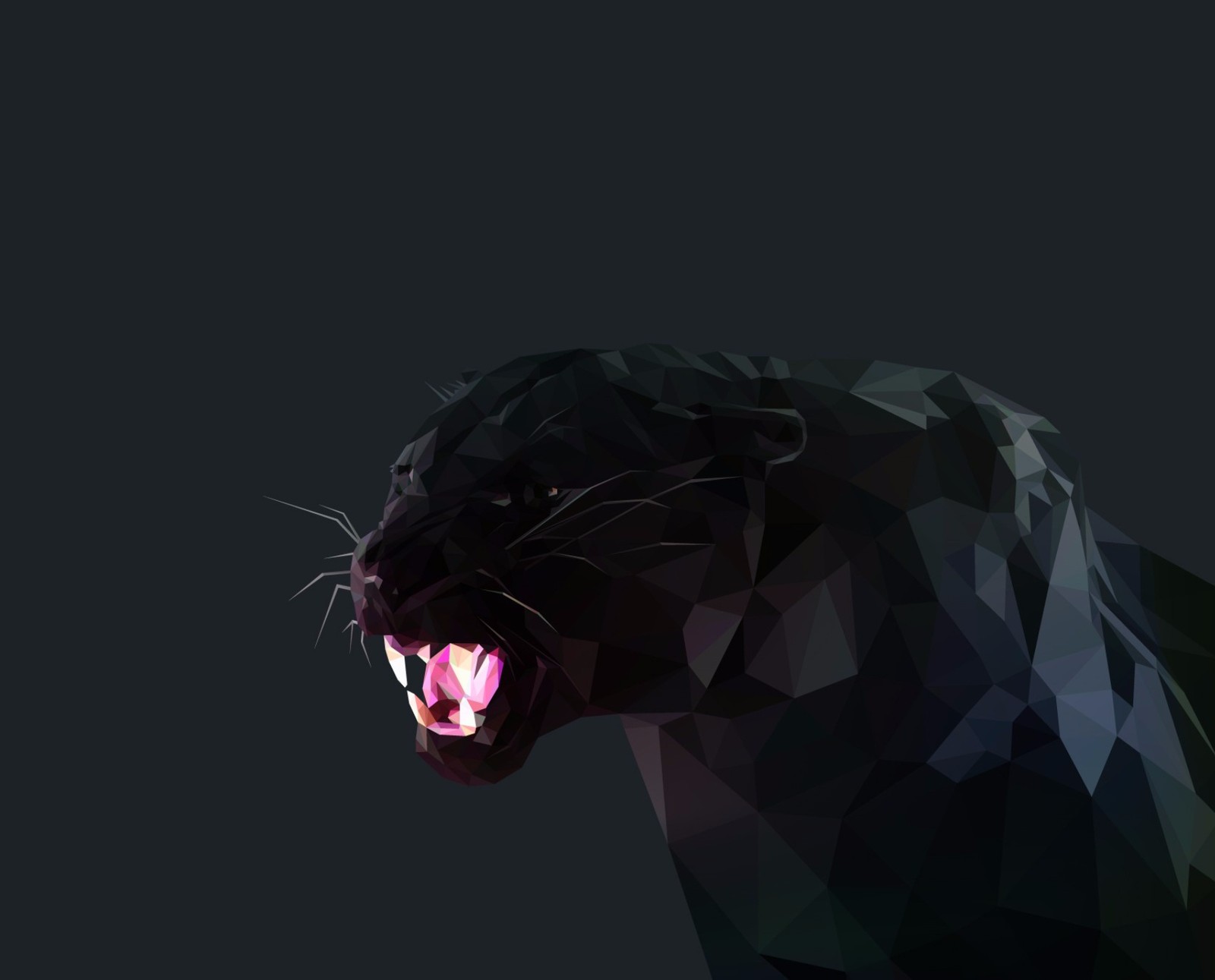 A close up of a black panther with its mouth open (big cats, black panther, felines, predators, prowlers)