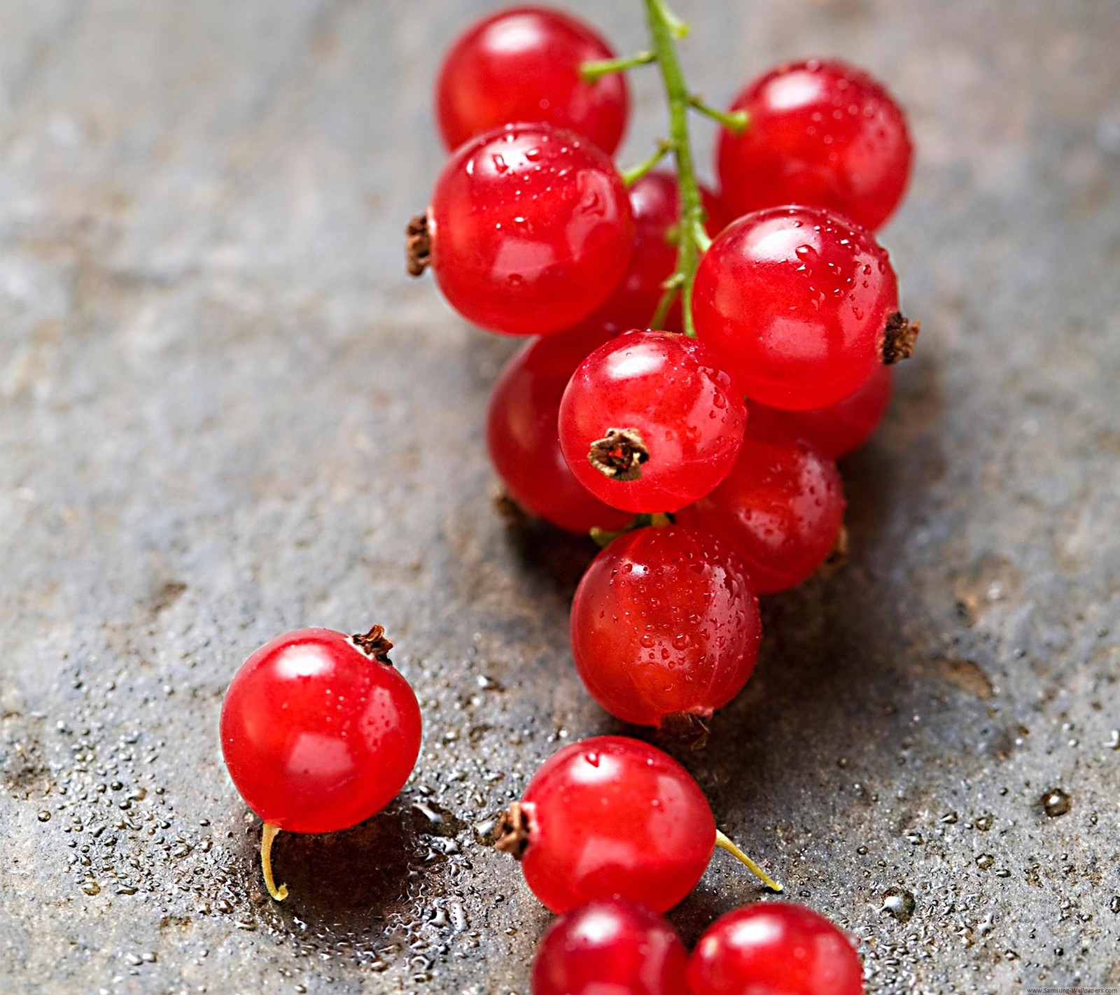 There are red berries on the ground on the table (fresh, fruits, grapes, red)