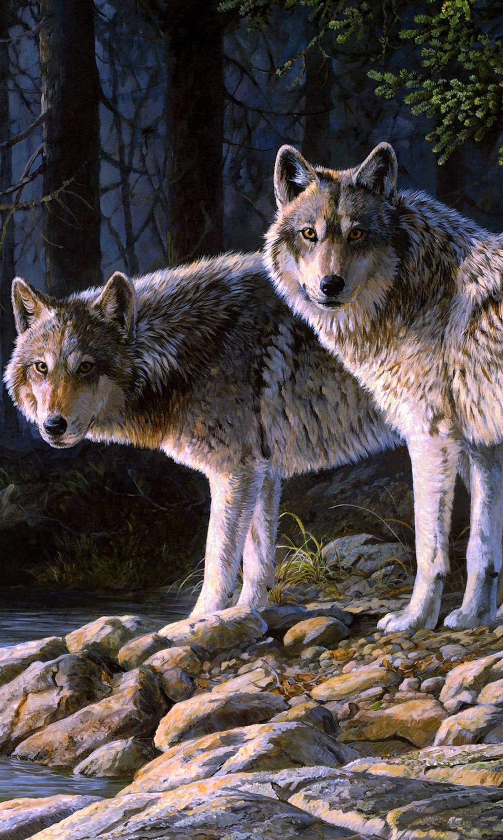 Painting of two wolfs standing on rocks in a forest (couple, wolf, wolves)