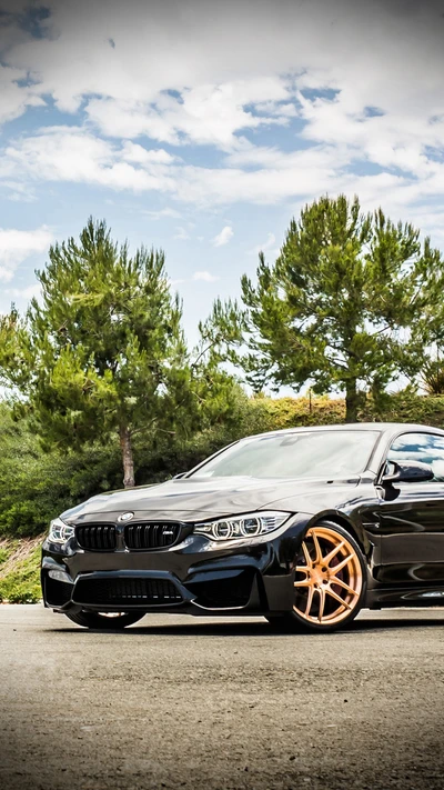 Estiloso BMW M4 F82 Coupé preto com rodas personalizadas em um cenário cênico