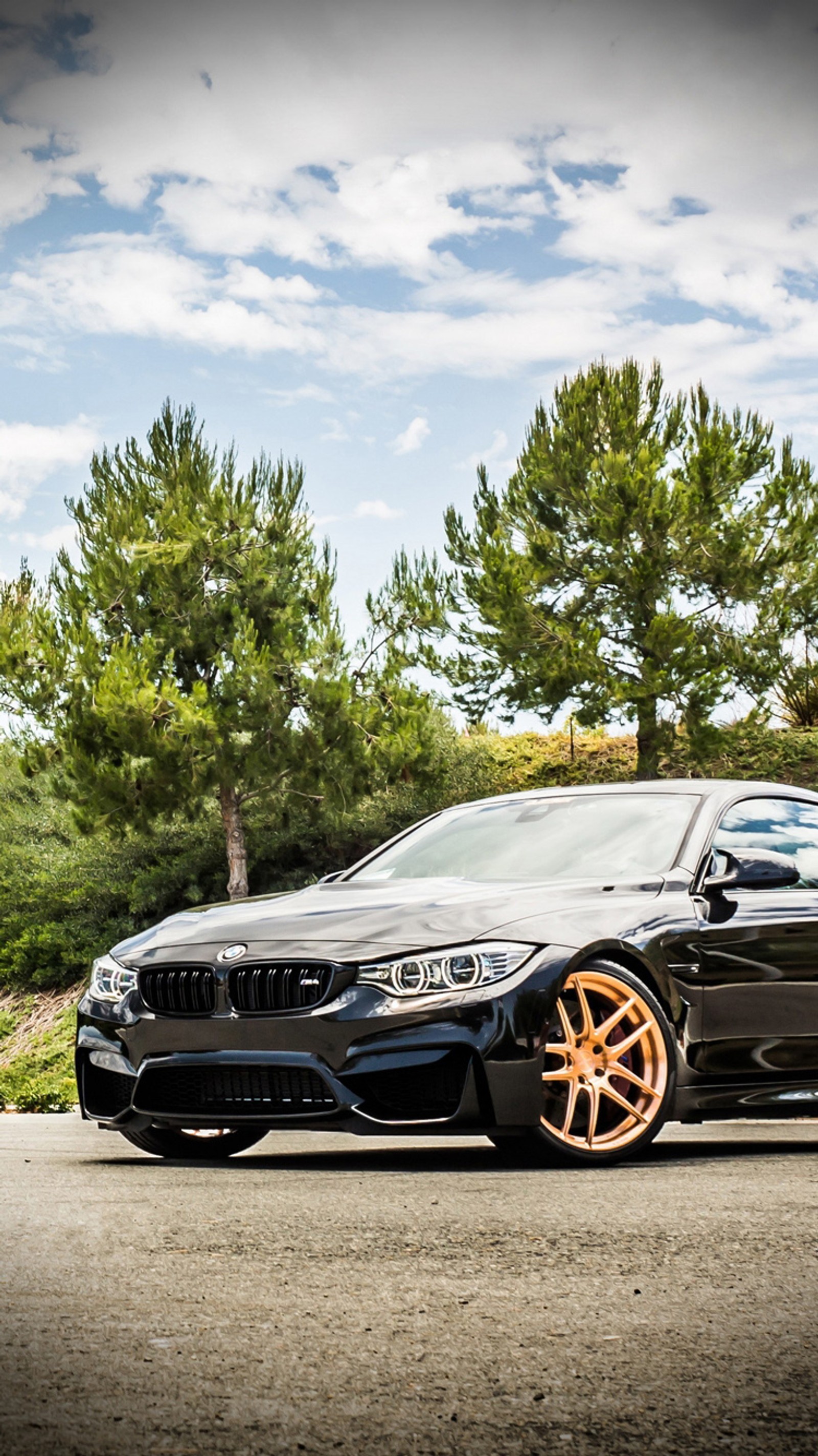 Arafed black bmw car parked on a road with trees in the background (auto, black, bmw, car, coupe)