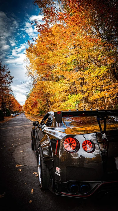 voiture, voitures, logo, horizon, turbo