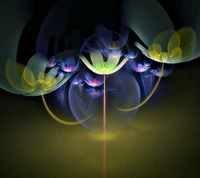 abstract, flower wallpaper