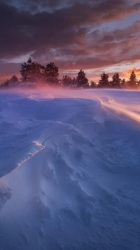 Enchanting Dusk: Snow-Covered Landscape Under a Vibrant Sunset