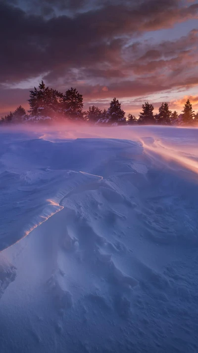 Atardecer Encantador: Paisaje Cubierto de Nieve Bajo un Vibrante Atardecer