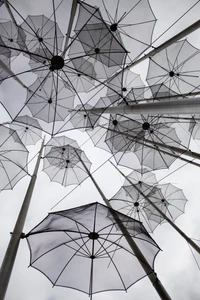 Auvent de parapluie monochrome : Lignes architecturales en niveaux de gris