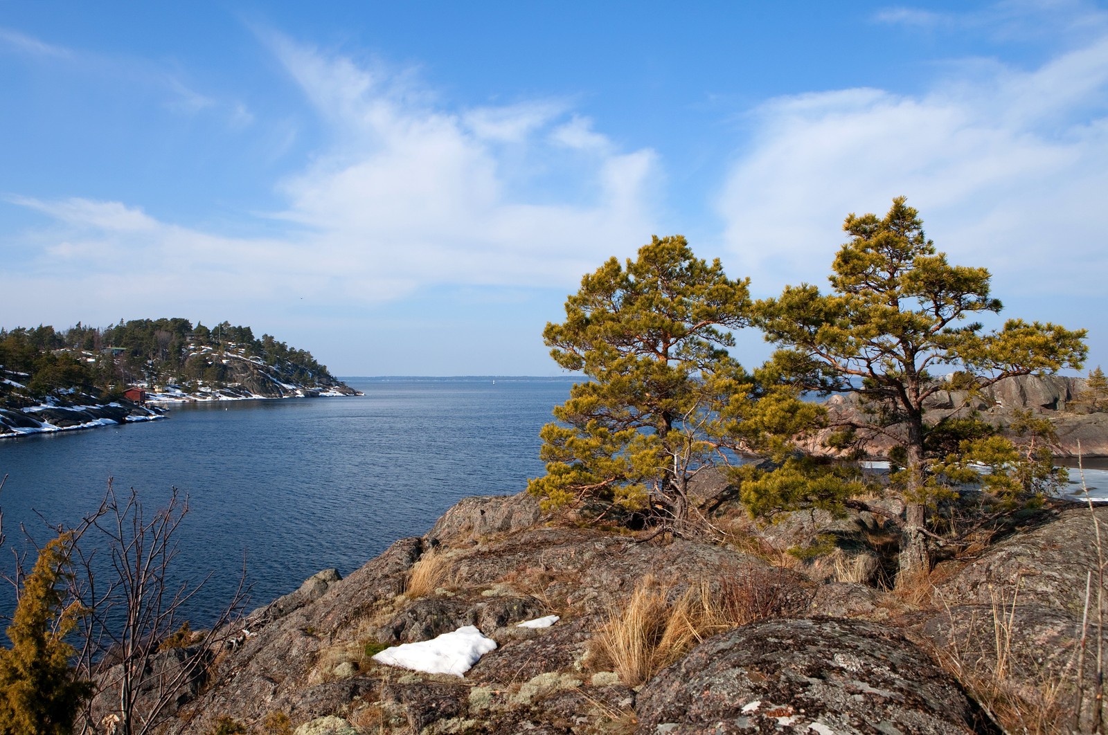 Árvores em um penhasco rochoso com vista para um corpo de água (costa, mar, baía, árvore, formas costeiras e oceânicas)