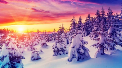 atardecer, amanecer, naturaleza, nieve, invierno