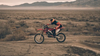 Freestyle motocross rider jumping over rugged terrain in a desert landscape.