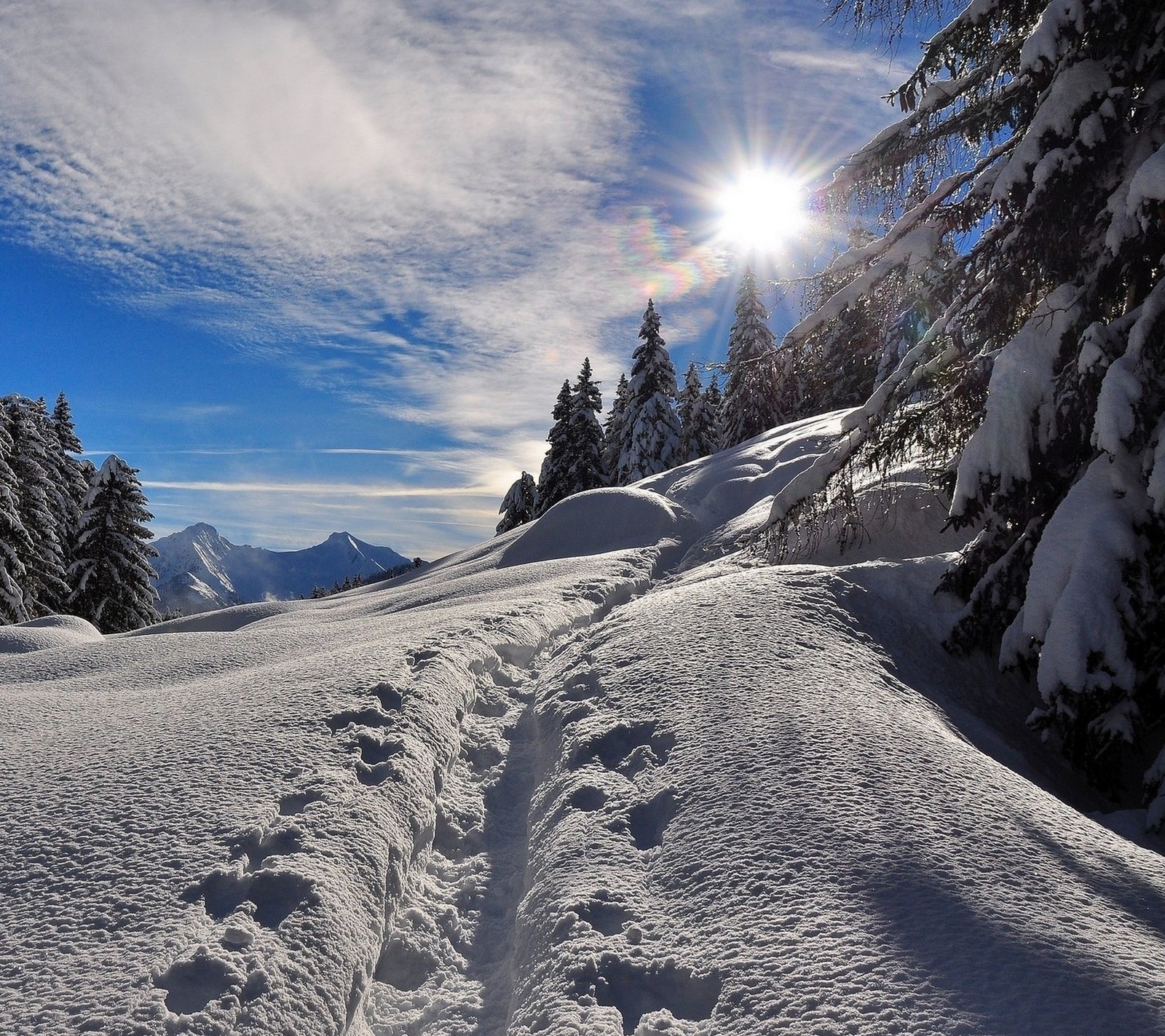 Un chemin arabe dans la neige avec des arbres et un soleil en arrière-plan (forêt, frozen, nature, neige, soleil)