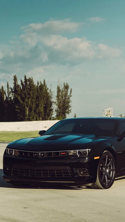 camaro, car, chevy