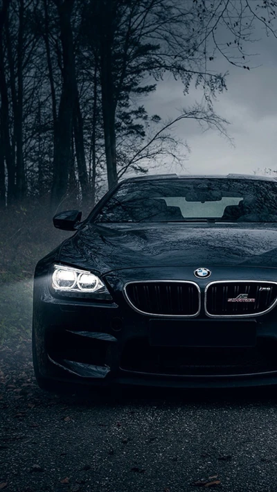 BMW M6 preto em um ambiente florestal sombrio.