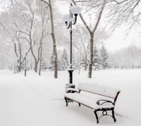 Banc couvert de neige dans un paysage de parc d'hiver