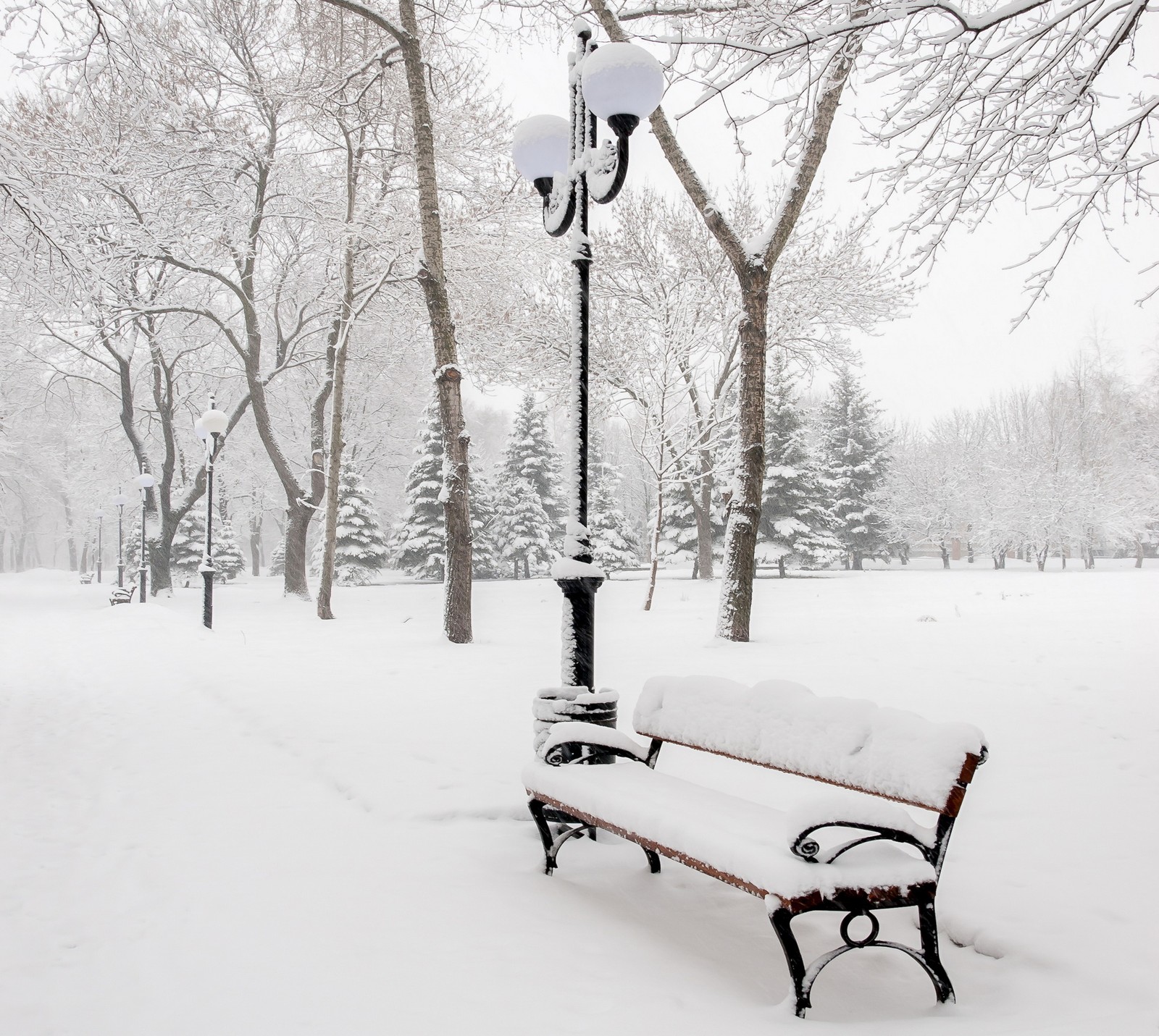 Verschneite parkbank mit einer straßenlaterne und straßenbeleuchtung im hintergrund (bank, landschaft, parkbäume, schnee winter)