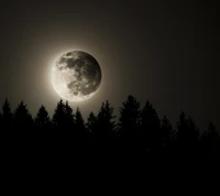 pleine lune, nature, sympa