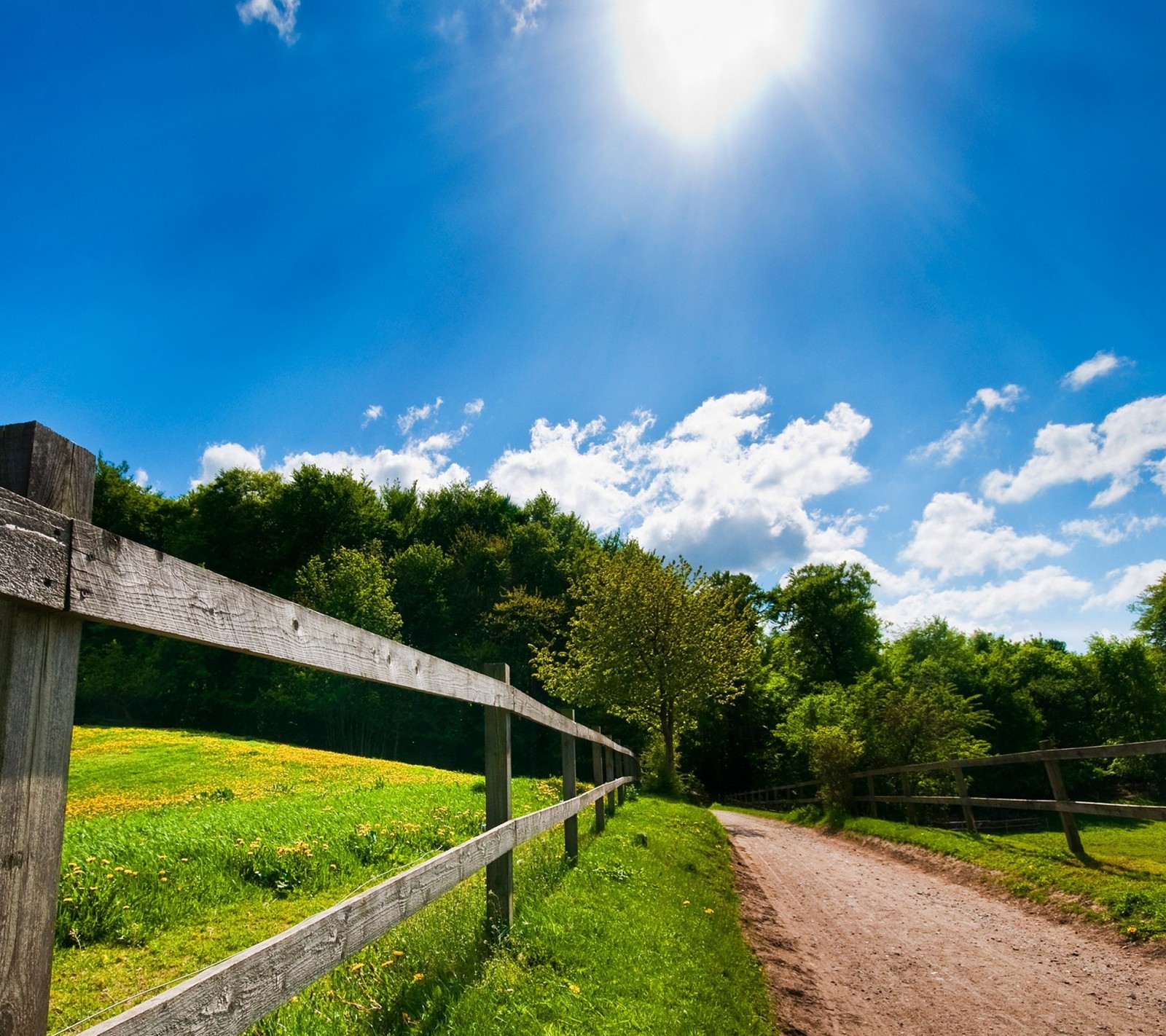 Arafed wooden fence along a dirt road with a field and trees (awsome, green, hd, nice, scenery)