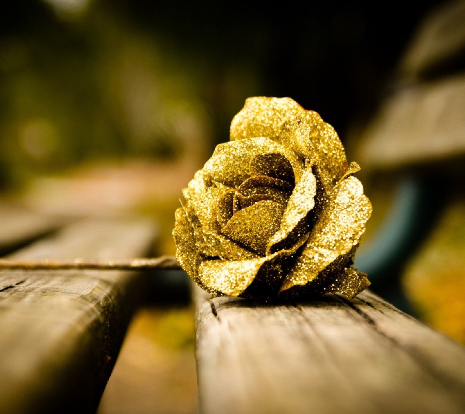 Hay una rosa dorada sentada en un banco de madera (solo, diamante, flor, oro, beso)