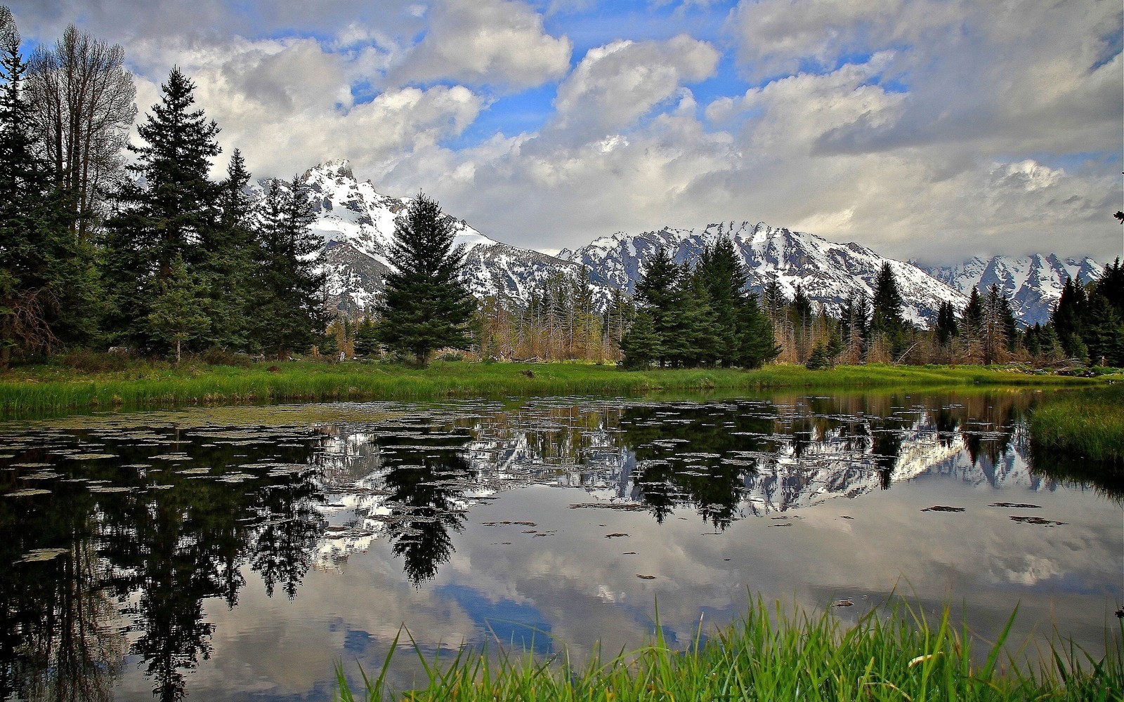 Une vue d'un lac avec une montagne en arrière-plan (arbre, réflexion, nature, sauvage, eau)