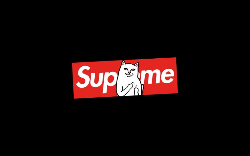 Логотип supreme cat на черном фоне (логотип, текст, бренд, графика, вывеска)