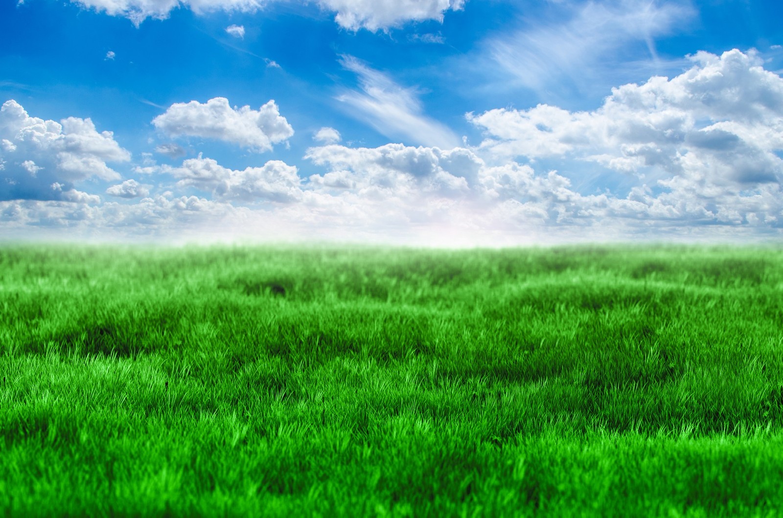 A grassy field with a bright blue sky and clouds in the background (green, blue, grassland, grass, meadow)