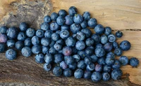 Frische Heidelbeeren auf rustikalem Holzoberfläche