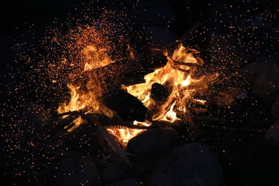 Flammes Illuminantes : Un Feu de Joie dans l'Obscurité