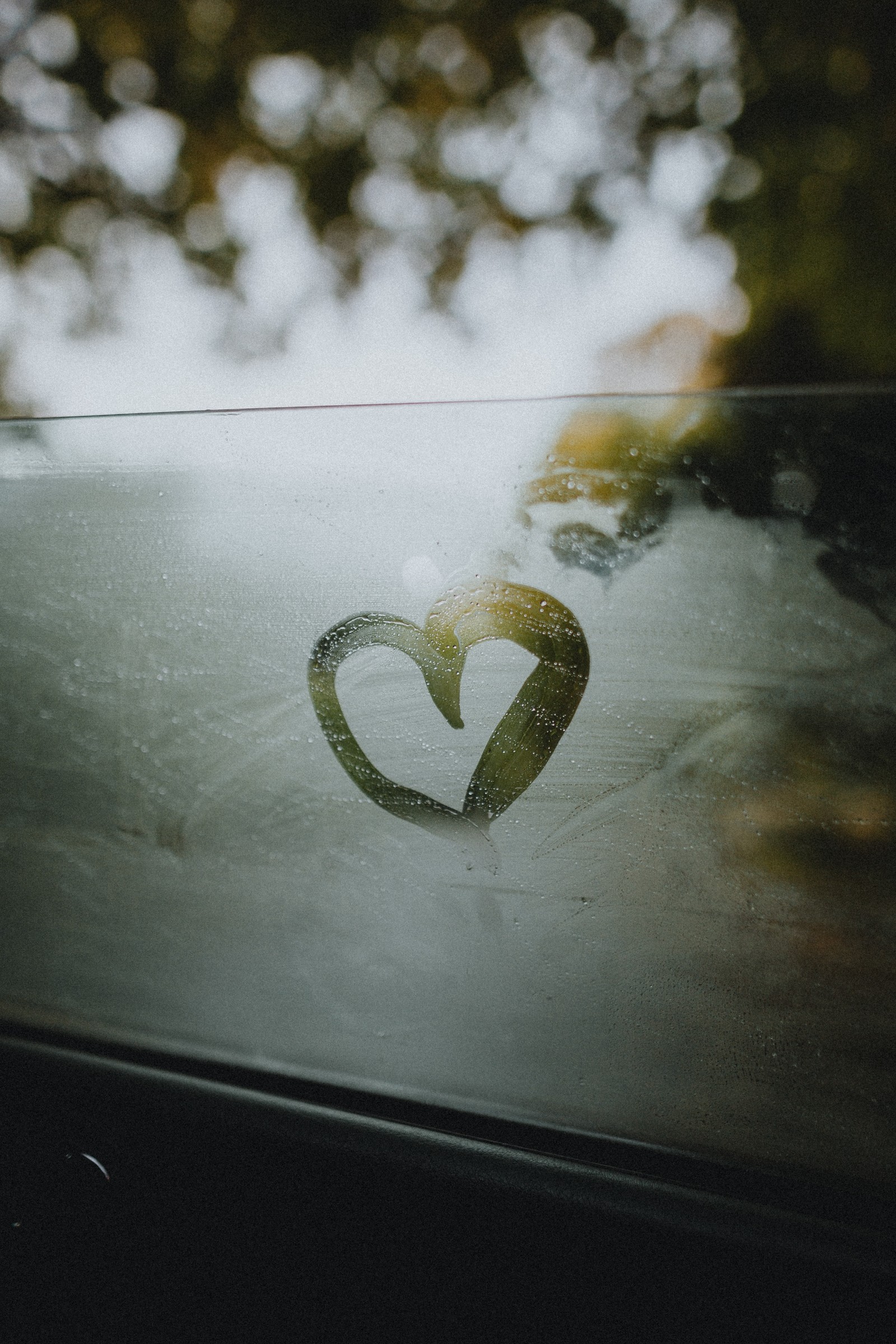 Un cœur dessiné sur une fenêtre de voiture sous la pluie (vert, cœur, feuille, arbre, plante)