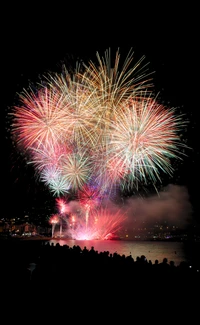 Vibrant New Year's Eve Fireworks Illuminating the Night Sky