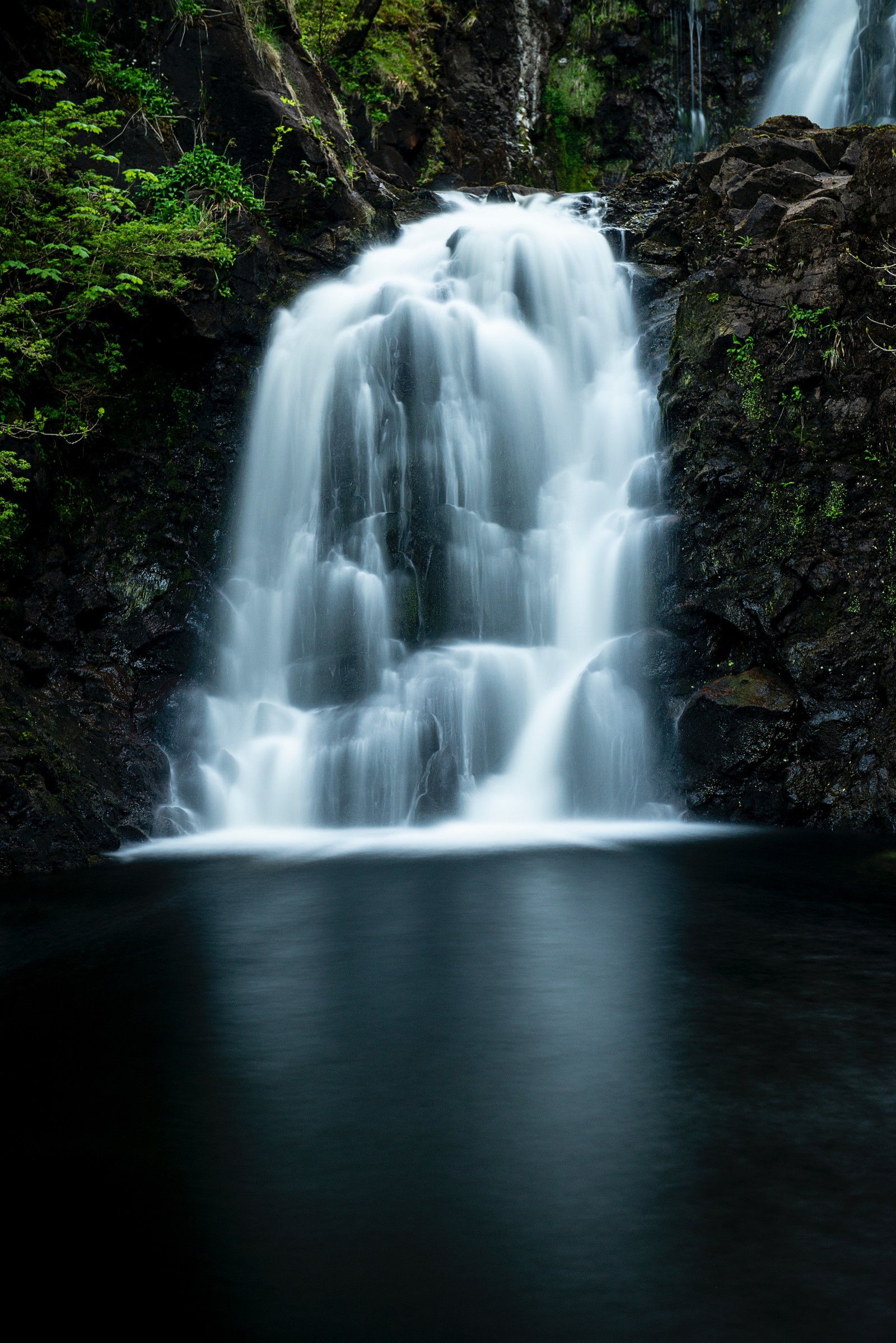 Uma cachoeira no meio de uma floresta com água escura (cachoeira, corpo de água, recursos hídricos, paisagem natural, natureza)