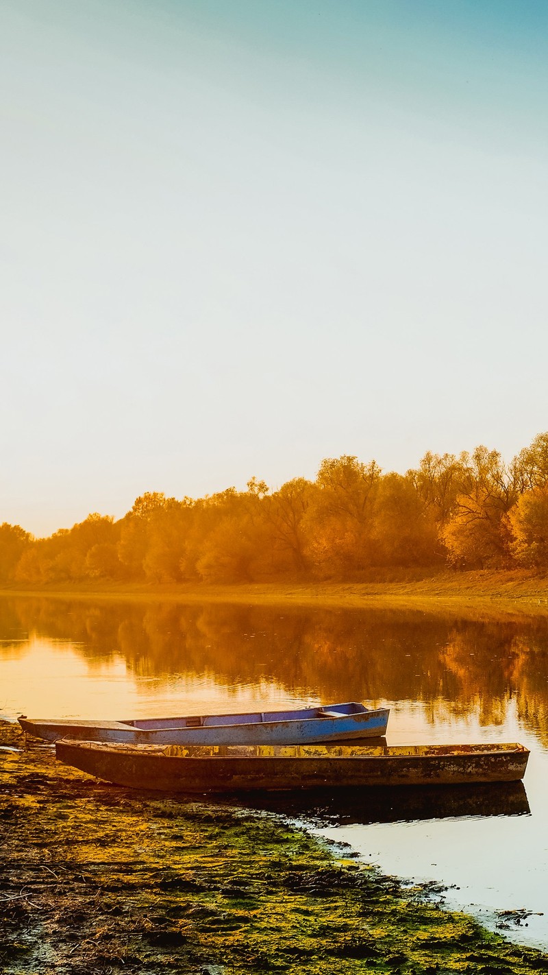 Лодка, стоящая на берегу озера (отражение, вода, водные ресурсы, природа, растение)