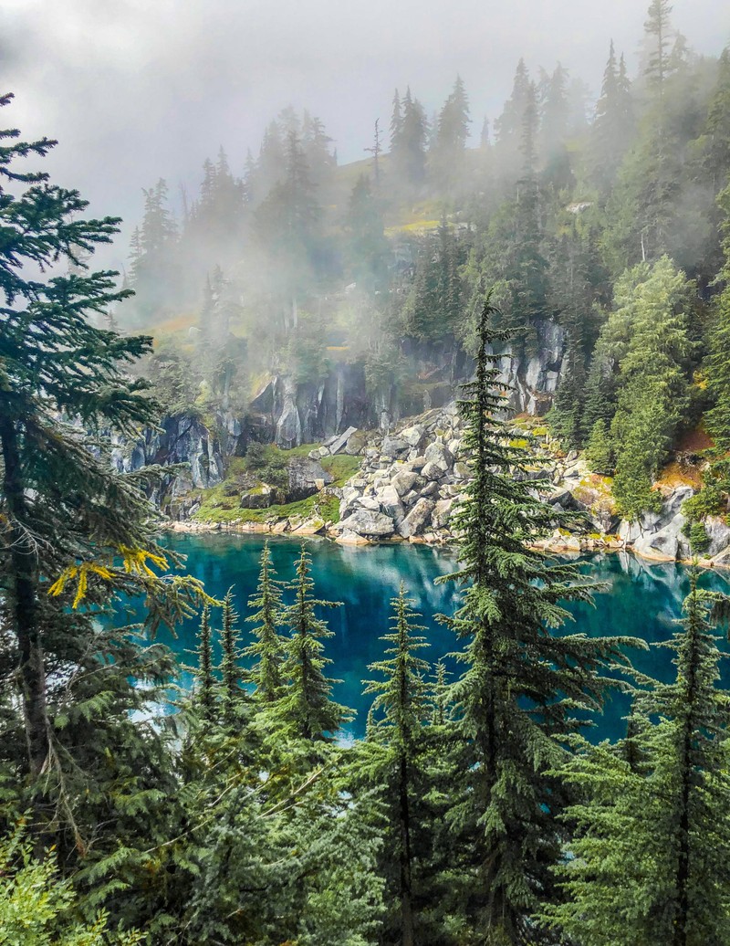 Озеро, окруженное деревьями, в середине леса (природа, дикая природа, вода, водные ресурсы, облако)