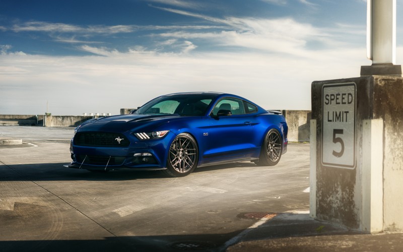 Синий мустанг припаркован на парковке рядом со знаком ограничения скорости (ford mustang, shelby mustang, ford gt, машина, ford)