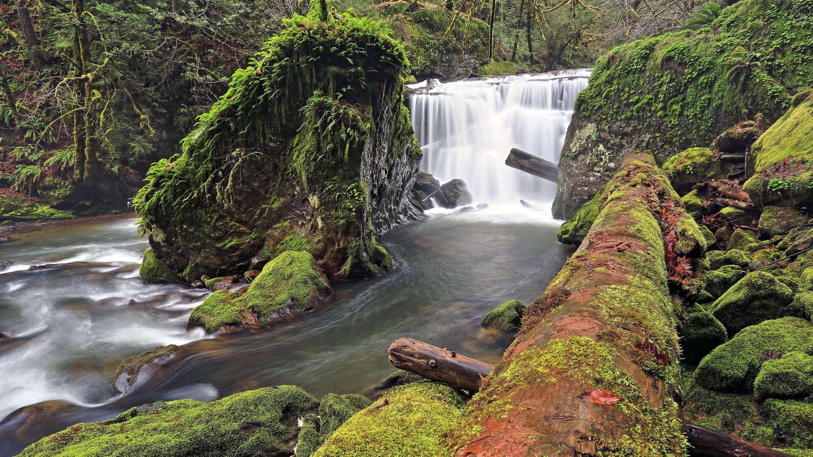 Um close em uma cachoeira com musgo crescendo nas pedras (cachoeira, corpo de água, recursos hídricos, natureza, água)