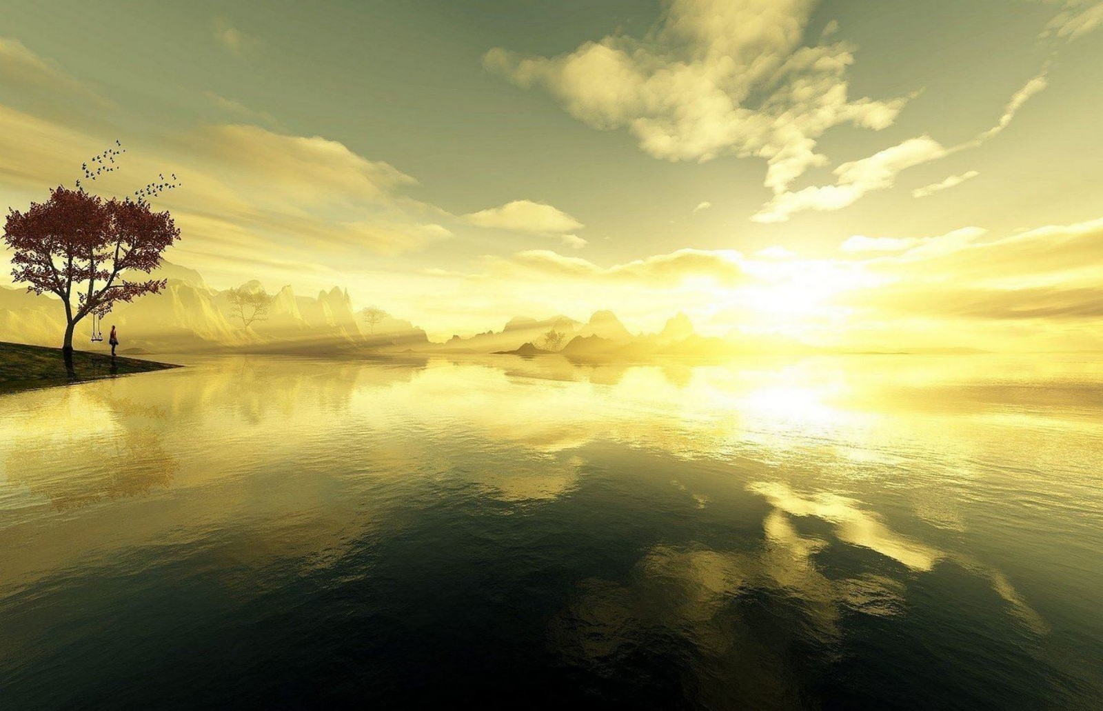 Un arbre sur une petite île au milieu d'un lac (nature, réflexion, eau, matin, lever de soleil)