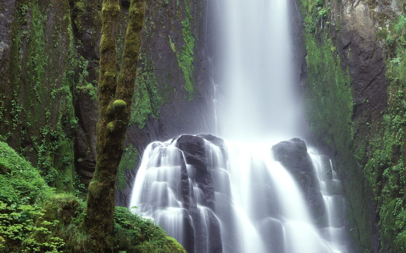 Waterfall in the middle of a forest with a person standing on a bench (waterfall, nature, water resources, body of water, water)