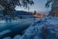 Paisagem de inverno serena na Finlândia: rio coberto de neve e árvores de lariço