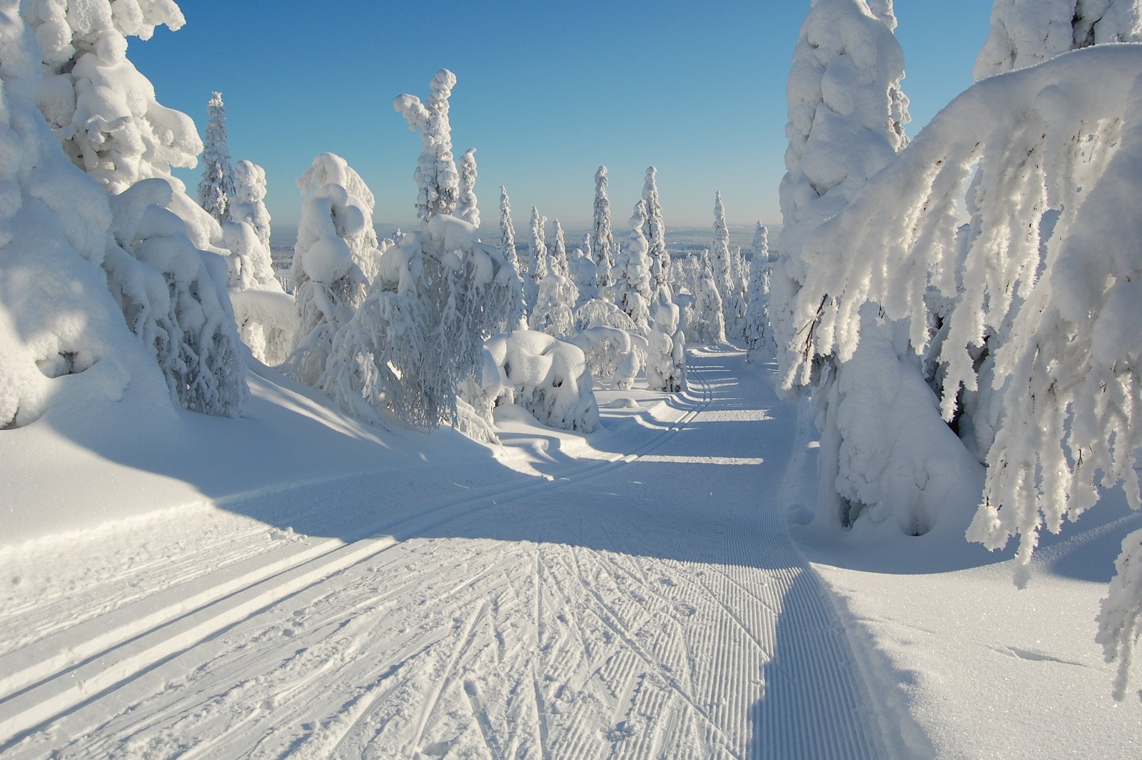 Arafed ski trail in the snow with trees and snow covered ground (snow, winter, glacial landform, freezing, arctic)