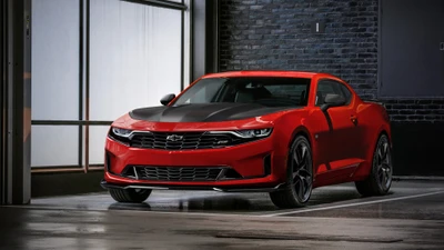 Roter Chevrolet Camaro mit einem eleganten Design und schwarzen Akzenten, der seine aggressive Kühlergrill und sportliche Silhouette zeigt.