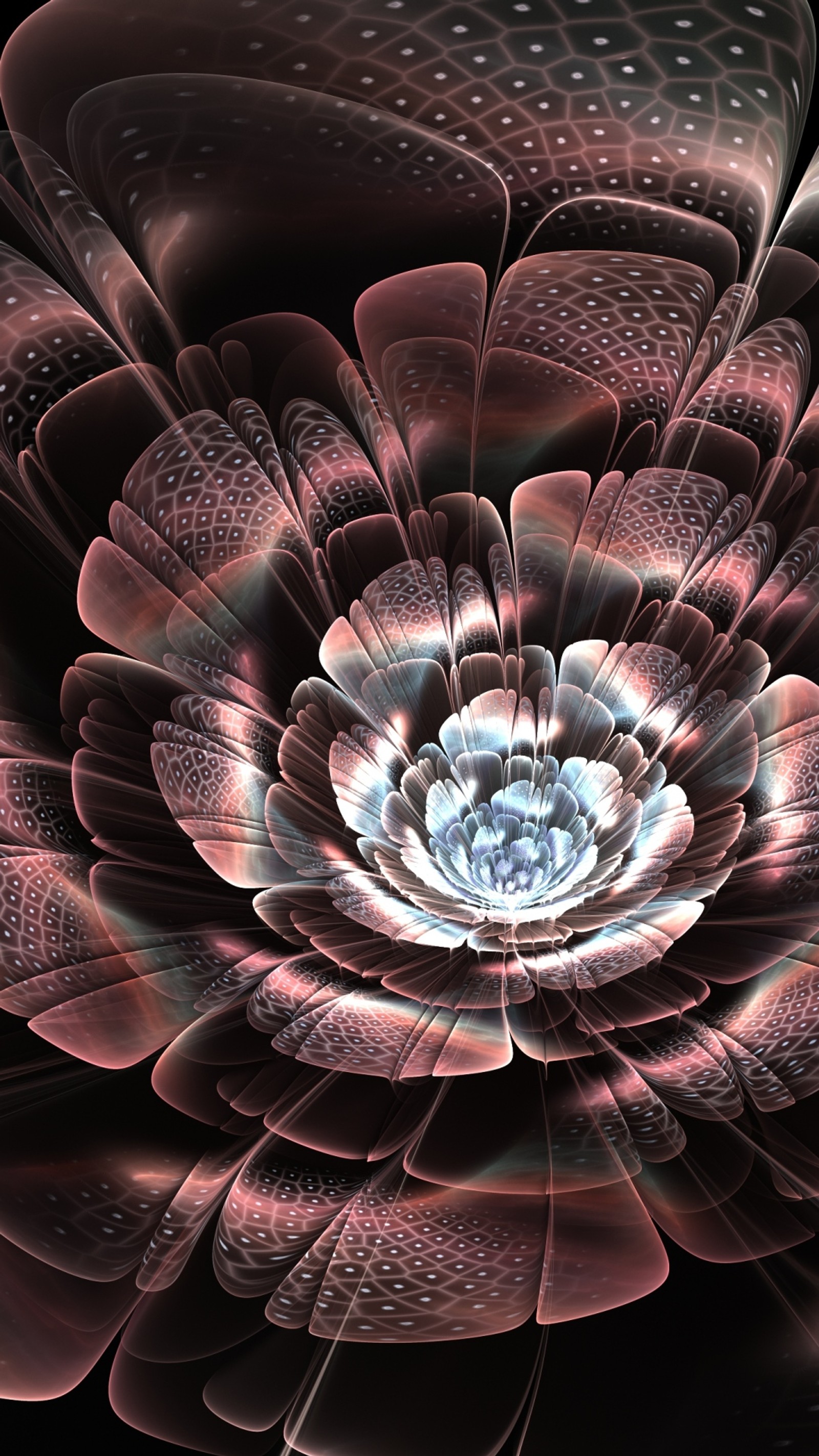 flower, ine, lightl, petals, scales Download Wallpaper