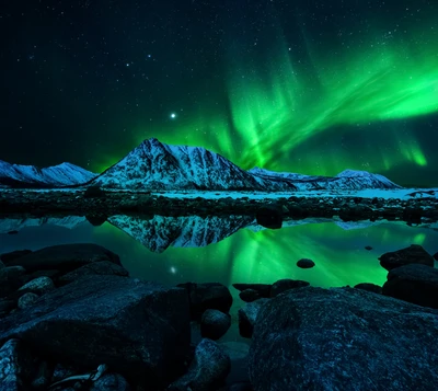 Auroras Boreais Serenas sobre Paisagem de Inverno