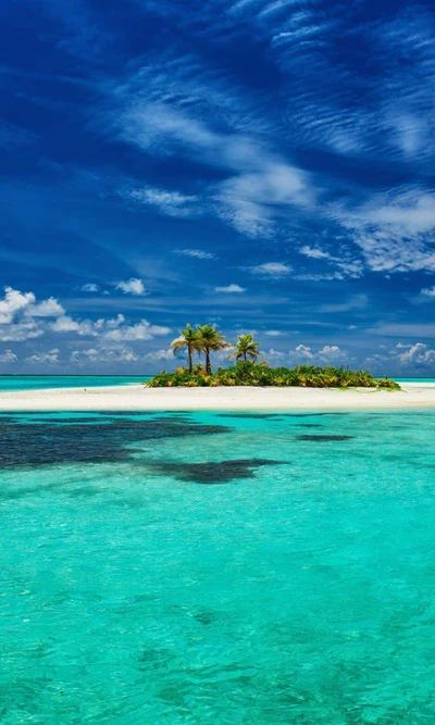 strand, sommer, sonne