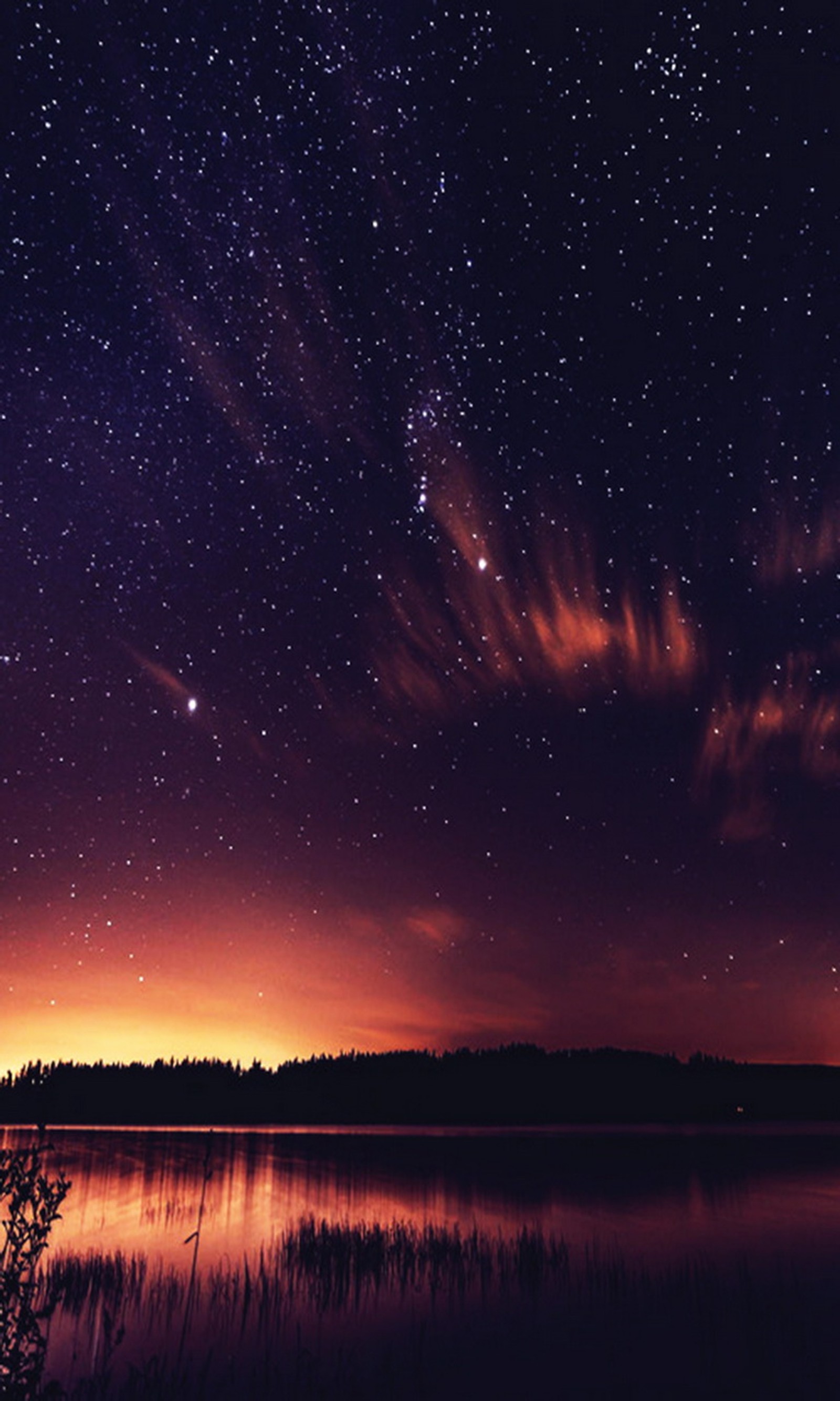 Ciel nocturne étoilé avec un lac et un arbre au premier plan (galaxie, nuit, ciel, étoiles)