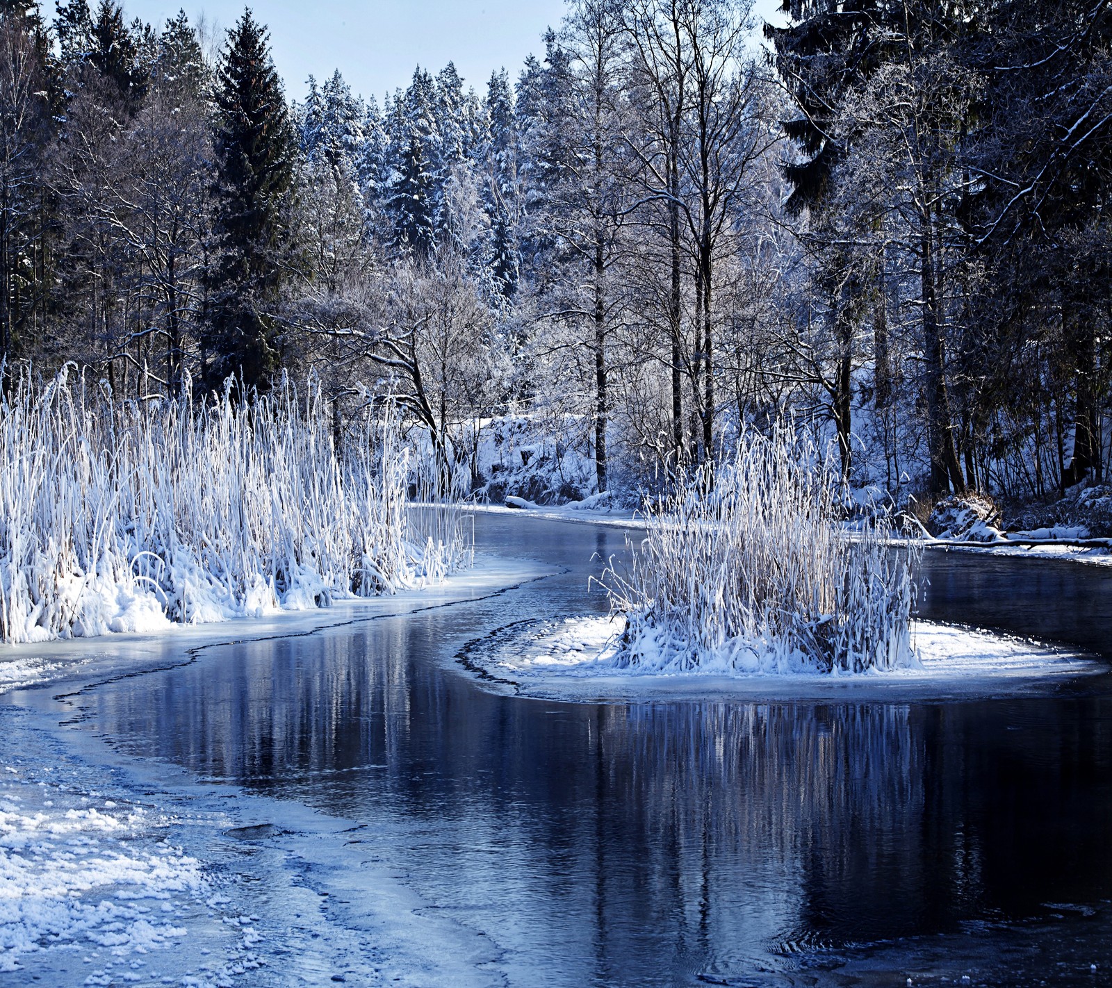 Une rivière enneigée avec de la glace et des arbres en arrière-plan (lac, hiver)