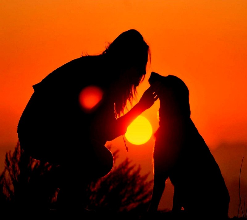 La silueta de una mujer y su perro al atardecer (amor)