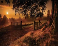 Atardecer dorado detrás de un árbol junto a la puerta abierta