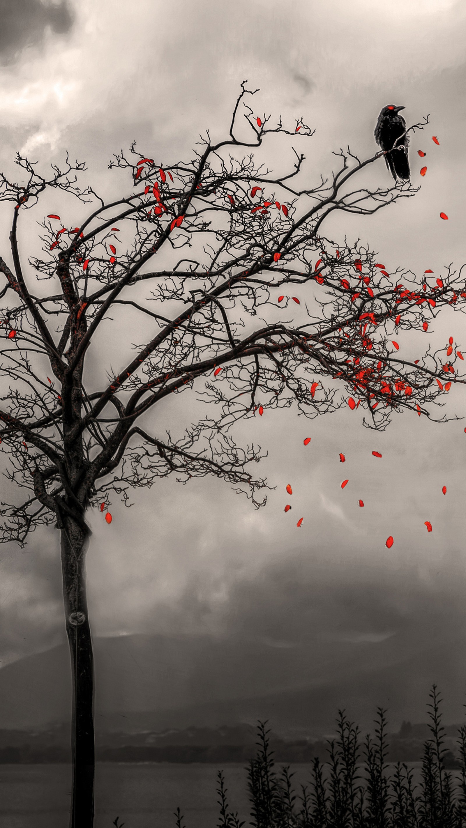 There is a black and white photo of a tree with red leaves (abstract, art, artwork, creepy, crow)